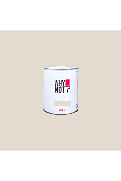 WHY NOT Light Beige - Bej Duvar Boyası