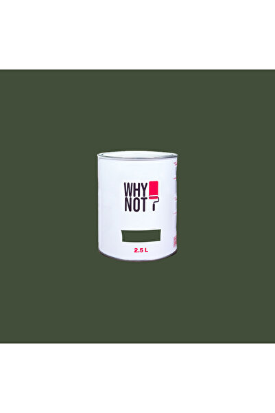 WHY NOT Dark Green - Yeşil Duvar Boyası