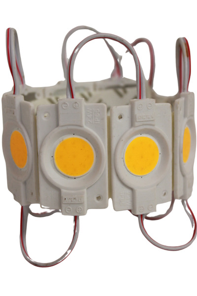Hazar Led 12 Volt 2.4 Watt Tekli Su Geçirmez Modül Led Gün Işığı (10 ADET)