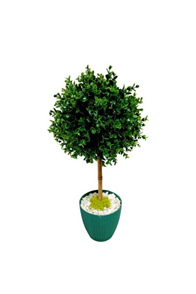TERARYUM DÜNYASI VE HEDİYELİK Yeşil Yapay Şimşir Top Ağacı Süs Hediyelik Salon - Bahçe - Balkon - Ofis 50*15 Cm