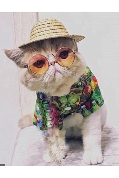 AKTEZ-EL قبعة القش للقطط والكلاب