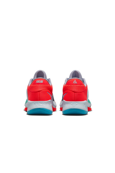 Nike Erkek Basketbol Ayakkabısı Zoom Freak 4 DJ6149-500 Çok Renkli
