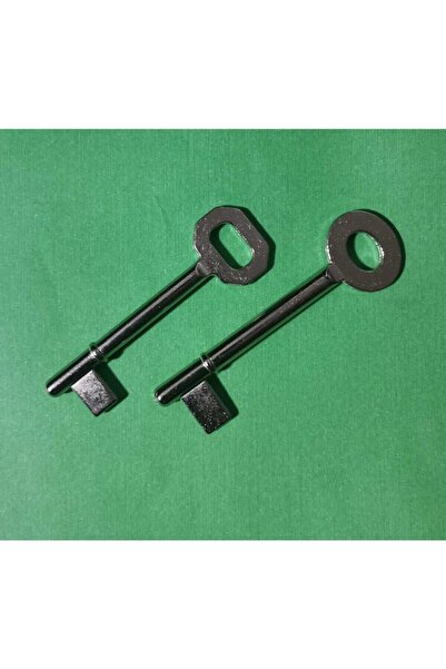 KALE Room Door Opening Locking Keys (2 Pieces)