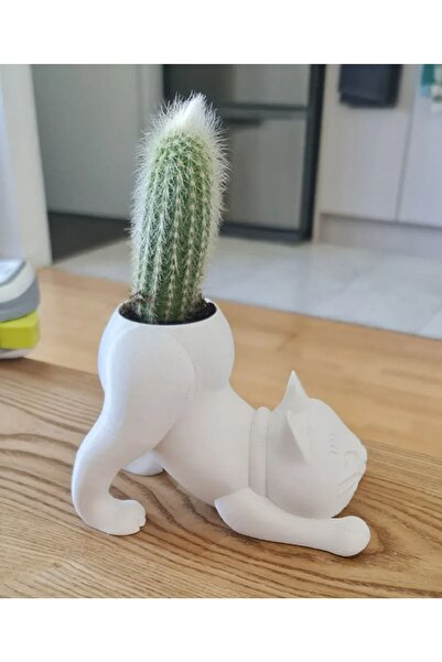 Rapithwin Kedi Kaktüs Saksı (çiçeksiz Gönderilecektir)