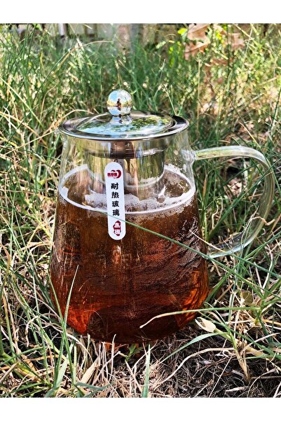 DİBA AVM Oval Design Luxury Tea & Coffee Pot with Borosilicate Glass Steel Strainer and Lid Glass Teapot 950 ML