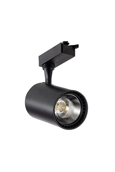 ALLES EKONOMİK 30 watt RAY SPOT SİYAH KASA GÜNIŞIĞI 3200K BORU TİPİ