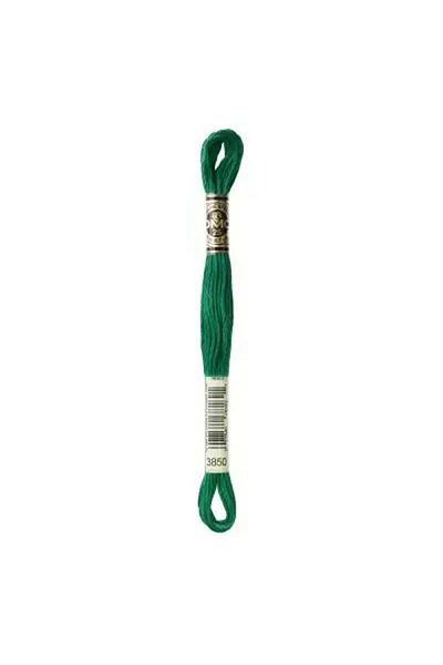 Dmc Muline Hand Embroidery Threads - 8 M - Color No 3850
