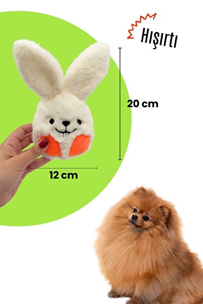 Havhav Hışırtı Sesli Tavşan Küçük Irk Köpek Oyuncağı Ses Çıkaran Peluş Köpek Oyuncağı