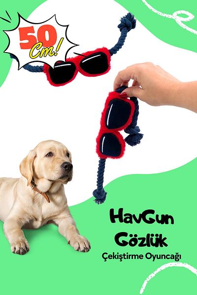 Havhav HavGun Dog Toy Set Glasses Shaped Traction Toy and Sound Making Plush Airplane