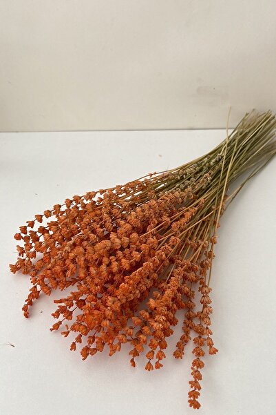 Goya Home Turuncu Lavanta Gelin Buketi Aranjman Çiçeği Süslük Vazoluk Magnetlik Hediyelik Kuru Çiçek