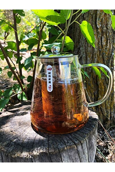 DİBA AVM Oval Design Luxury Tea & Coffee Pot with Borosilicate Glass Steel Strainer and Lid Glass Teapot 950 ML