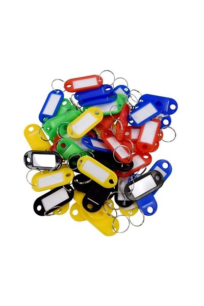 Pegasus Masterkey Plastic Keychain - Writable - Ideal for Dormitory, Hotel, Project, School 100 Pack