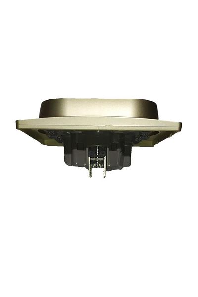 Legrand 767516   Salbei Champagne Color Double Grounded Socket
