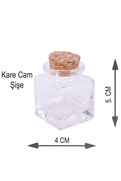 Altay06 Mantar Tıpalı Küp Şişe (10 Adet)