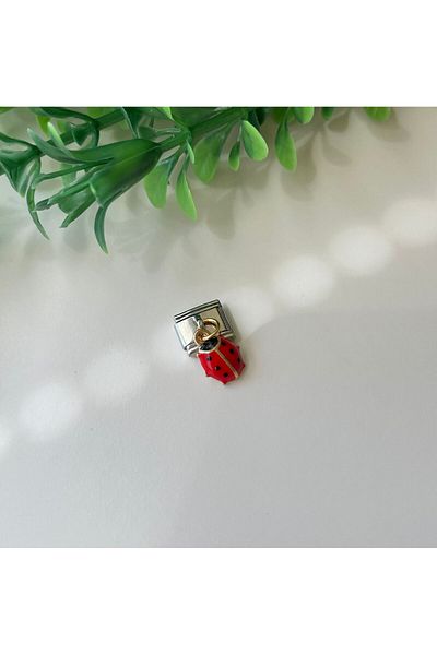 staınless steel Italian Bracelet Charm Stainless Steel Ladybug