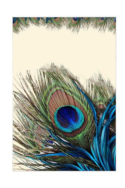 Alanur Home Set de toaletă digital pentru baie cu bază anti-alunecare Alanur Trend Kt410 Blue