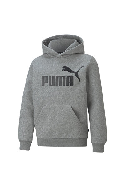 Puma Світшот з капюшоном Essentials з великим логотипом