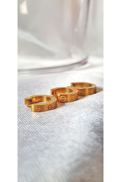 EHA Steel Earrings