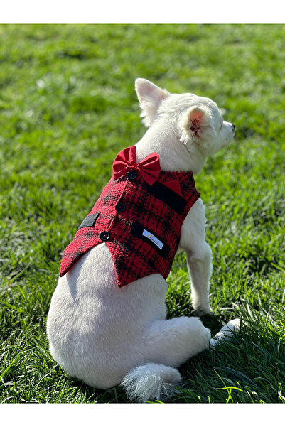 PopiePet Kırmızı Yelek Kedi ve Köpek Kıyafeti