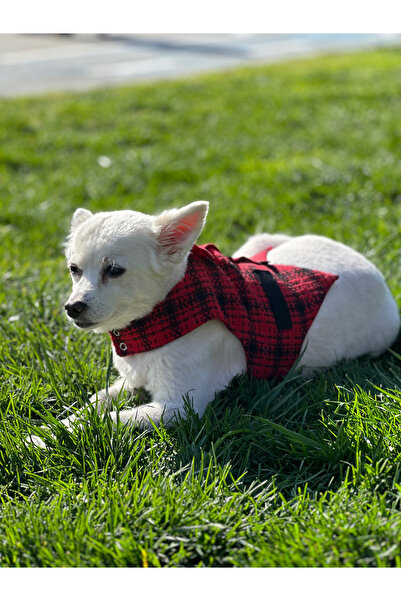 PopiePet Kırmızı Yelek Kedi ve Köpek Kıyafeti