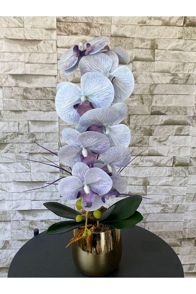 MY LOVE ÇİÇEKÇİLİK Gold Metal Saksıda Açık Mor Islak Dokulu Orkide