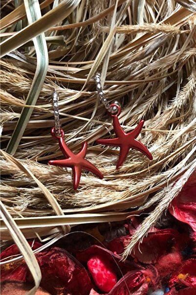 Leerybee Chrome Red Color Antiallergic Star Earrings