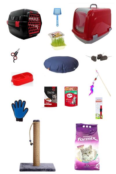 ASATEKNOLOJİ Kedi Başlangıç Seti Ve Ihtiyaçları 15'li Set