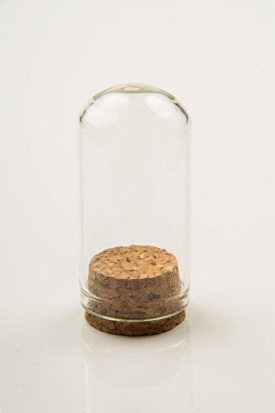 Genel Markalar Ters Fanus Mantar Tıpalı Cam Şişe 25 Adet