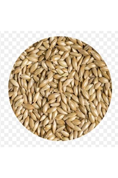 Quik Aspur Kuş Yemi 300 gr