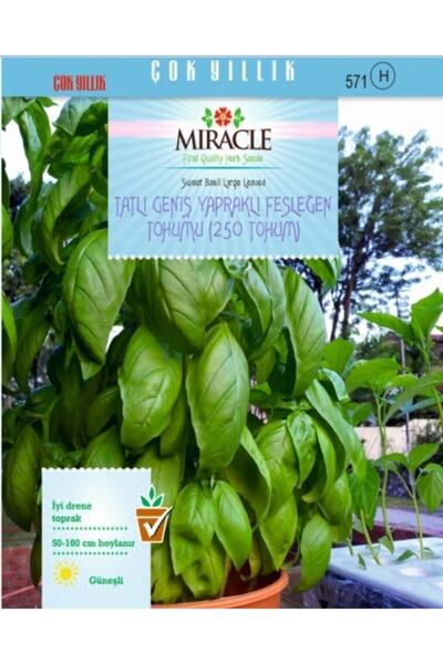 TohumBul Miracle Tatlı Geniş Yapraklı Fesleğen Tohumu (250 Tohum)