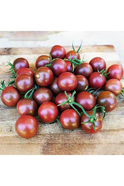 EvveBahce Kokteyl Sırık Mirra F1 Siyah Domates Fidesi (5 Adet)