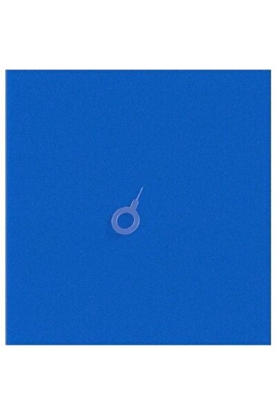 Philips Fc 8010 9331/07 9332/07 9333 9334 9516 Powerpro City Filtru de burete