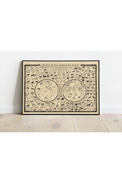 Pegziz Dünya Köpek Türleri Haritası Sanatsal Duvar Dekorasyon Poster 60x90cm.