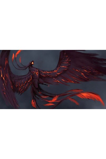 Concord Mp-241 Desenli Mouse Pad 200 X 240 X 2 Mm