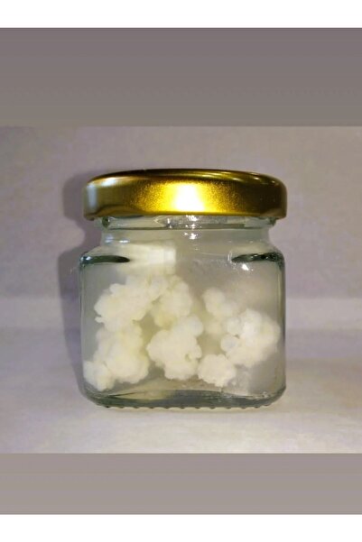 Erzurum İpekgurme Erzurum Ipek Gurme Kefir Baslangıç Kiti Kefir Mayası Ipk4596