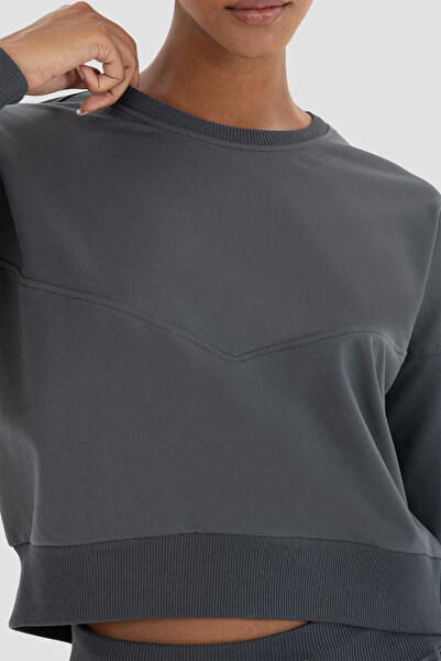 Superstacy Світшот Ena Oversize Füme Crop