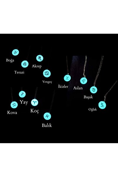 Soprano Silver Gece Parlayan Burç Kolye 925 Ayar Gümüş (HER BURÇ MEVCUT)