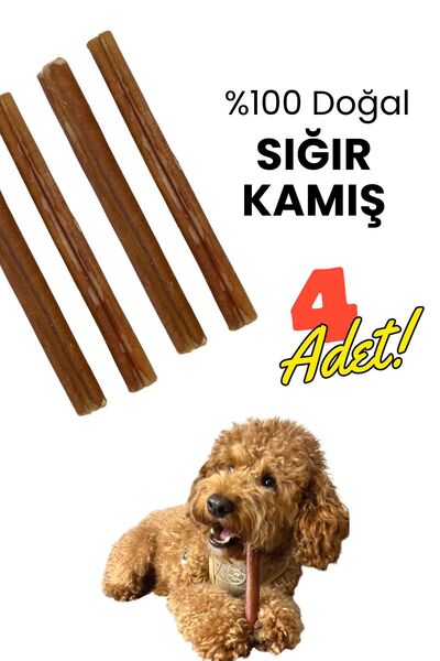 Havhav Köpek Ödül Kemiği 4 Adet Doğal Dana Kamış Köpek Çiğneme Çubuğu 15 Cm K...