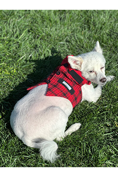 PopiePet Kırmızı Yelek Kedi ve Köpek Kıyafeti