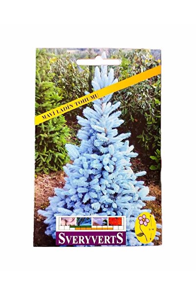 Vipfoni Mavi Ladin Ağacı Tohumu