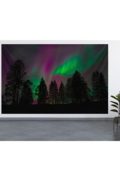 ALAMODECOR Стенно покритие с пейзаж на Северните северноски светлини (70x100,...