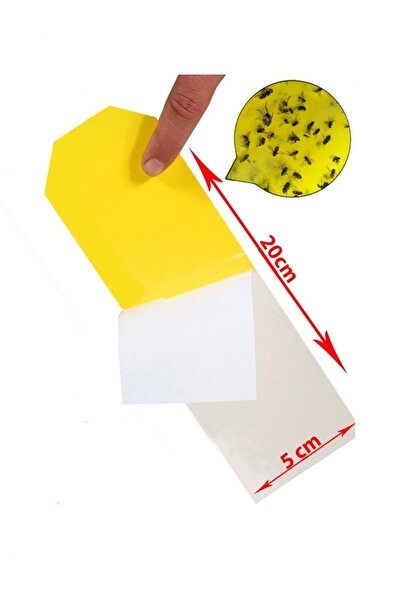 Orkide Yetiştirme Saksı Tipi Yapışkanlı Sinek Tuzağı