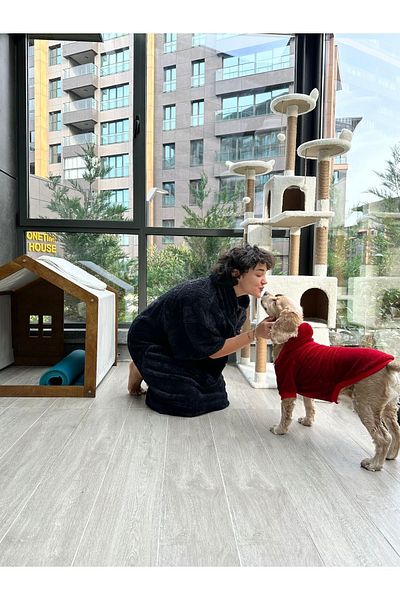 SOLENROSA Cat Dog Sweatshirt Outfit