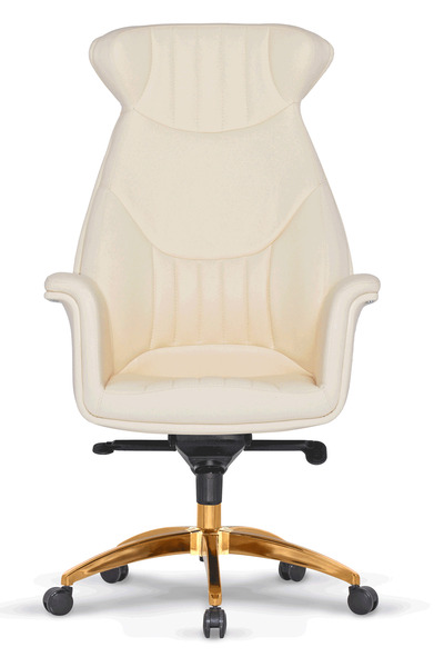 XPRİME Xprime Business Gold Ramses Çalışma Koltuğu