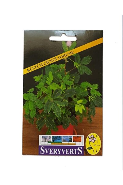 Genel Markalar Küstüm Çiçeği Tohumu 10-20 Adet