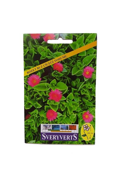 Vipfoni Rozet Buz Çiçeği Tohumu