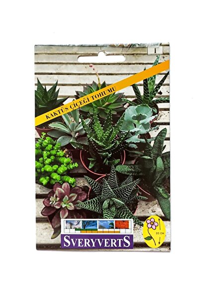 Vipfoni Sukulent Kaktüs Çiçeği Tohumu