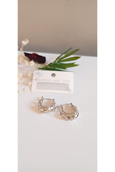 Feride Steel Earrings Stone Ring Detail Women's Steel 316L Trend Stainless Steel Earrings Color Guaranteed Grapes