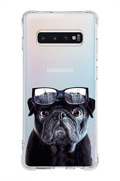 PrintiFy حافظة مضادة للصدمات متوافقة مع هاتف سامسونج جالاكسي S10 بلس مع طباعة كلب 3 وحماية زاوية شفافة