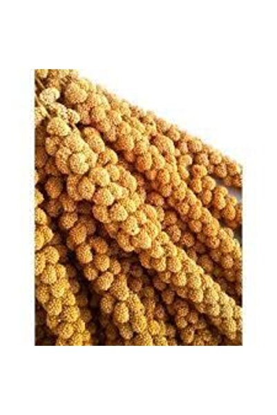 Genel Markalar Sarı Dal Darı 1 Kg Sarı Organik